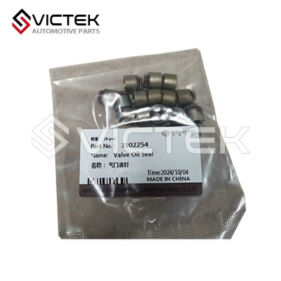 ซีลวาล์ว 3102254